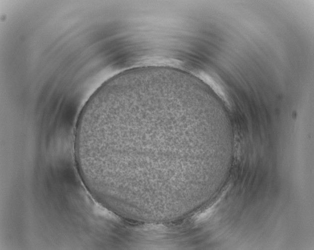 X0000088031094200705251110