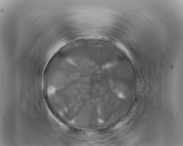 X0000088031095200705251110