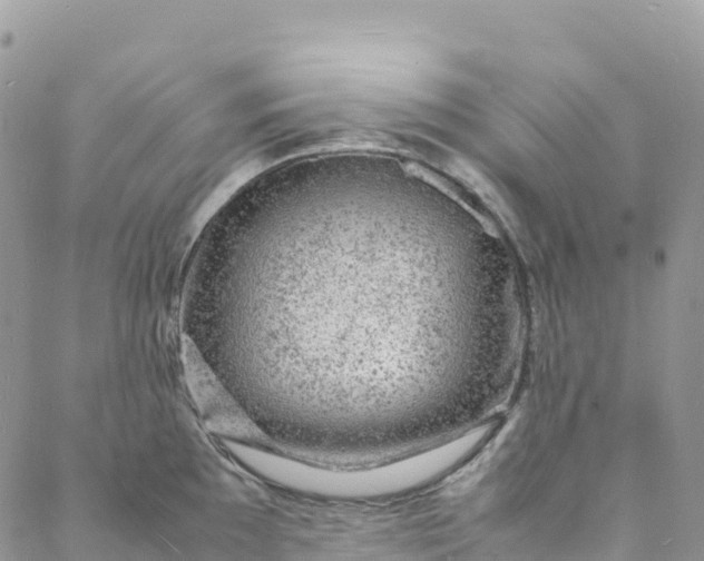 X0000088031097200705251110