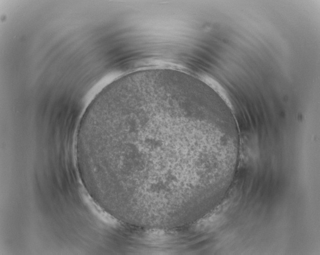 X0000088031098200705251110