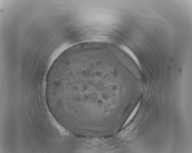 X0000088031099200705251110