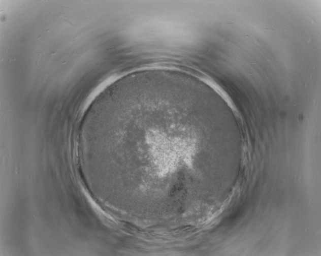 X0000088031101200705251110