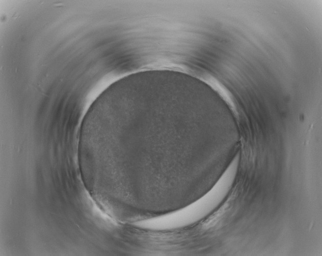 X0000088031102200705251110