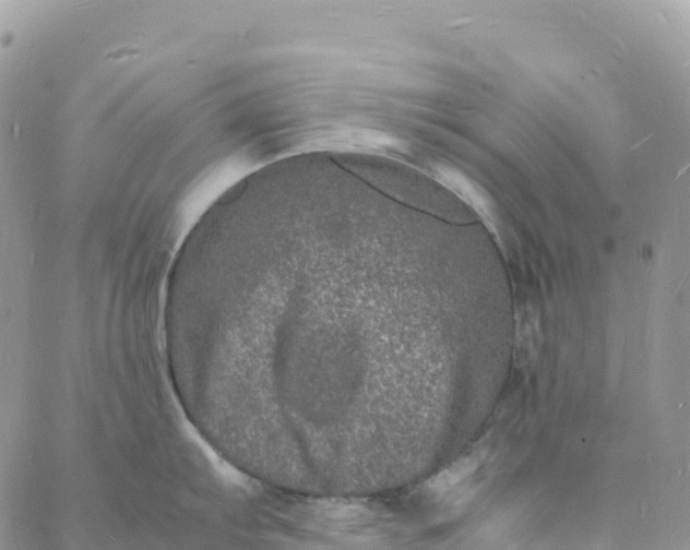 X0000088031103200705251110