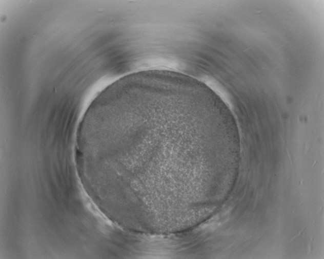 X0000088031104200705251110