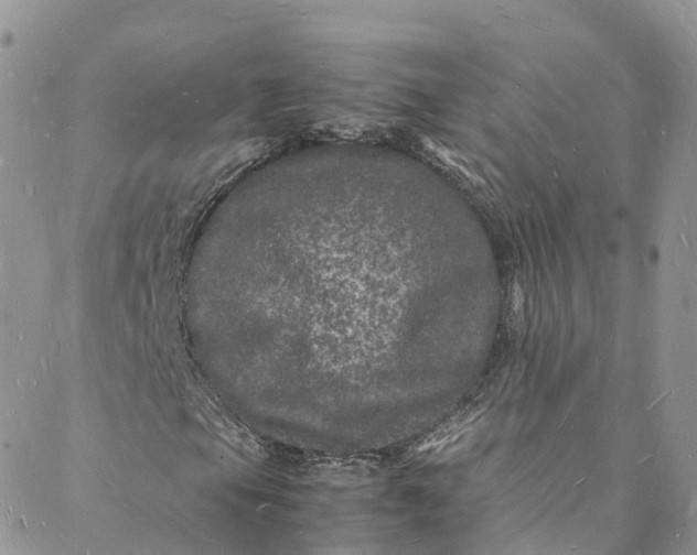 X0000088031105200705251109