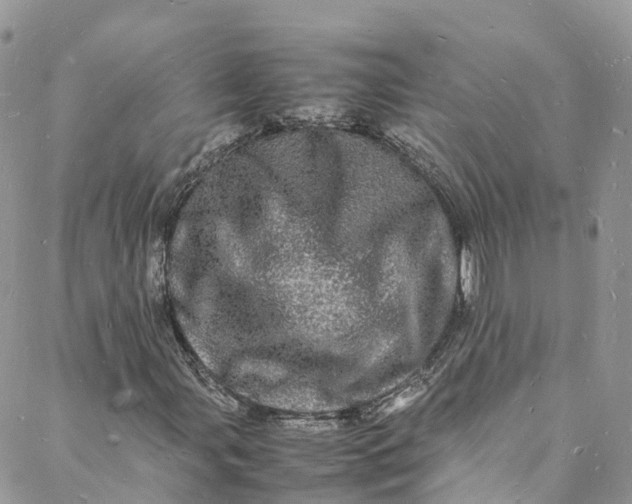 X0000088031107200705251109