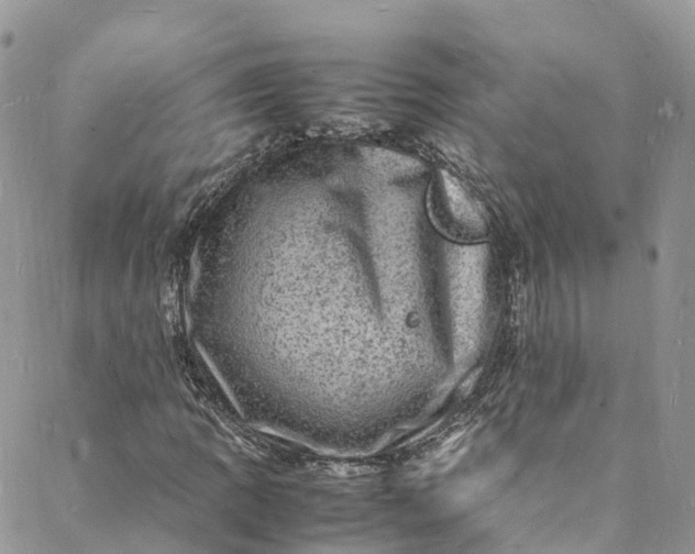 X0000088031109200705251109