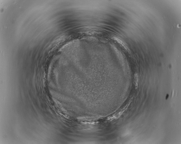 X0000088031111200705251109