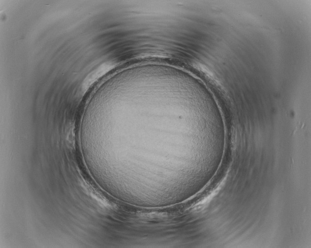 X0000088031113200705251109