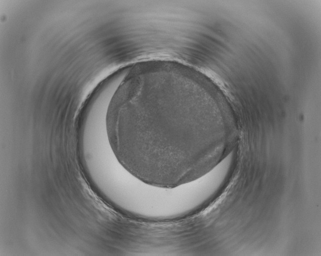 X0000088031118200705251110