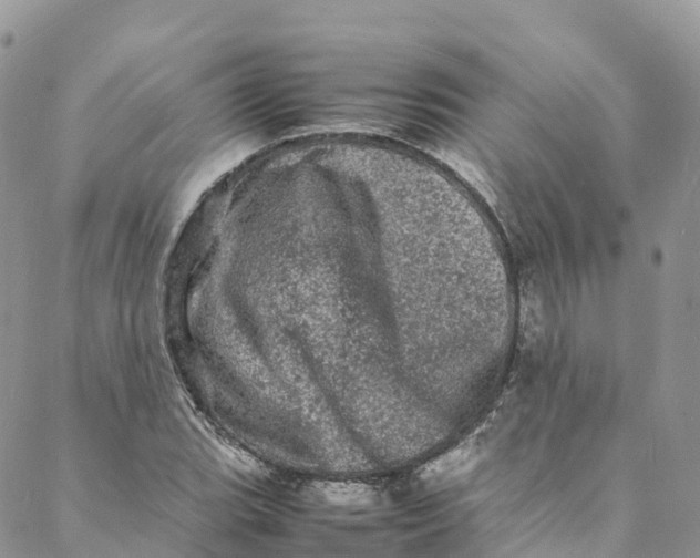 X0000088031119200705251110