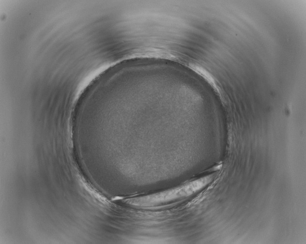 X0000088031120200705251110