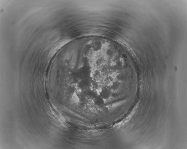 X0000088031121200705251110