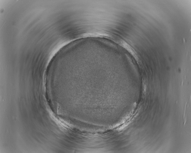 X0000088031124200705251110