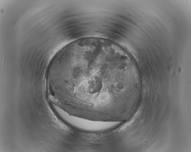 X0000088031125200705251110