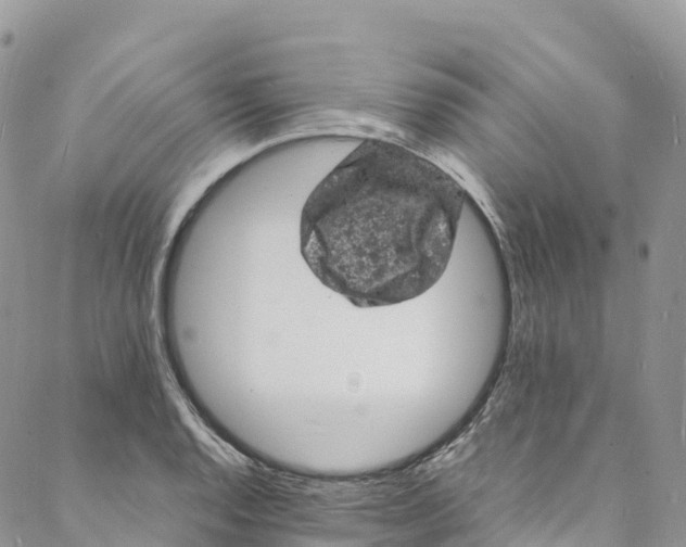 X0000088031128200705251110