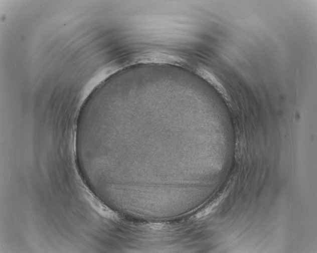 X0000088031130200705251110