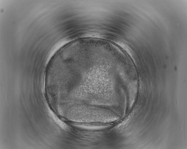 X0000088031131200705251110