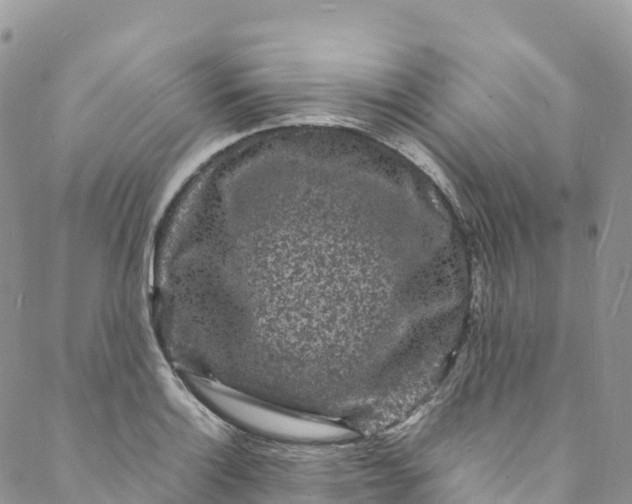 X0000088031132200705251110