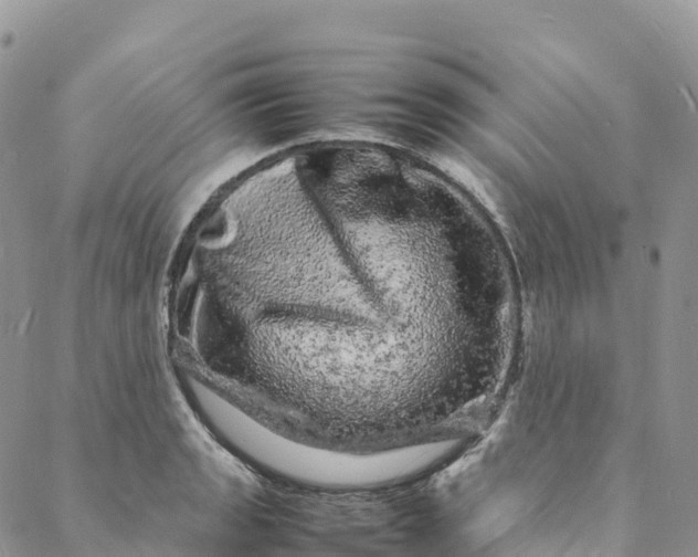 X0000088031133200705251110