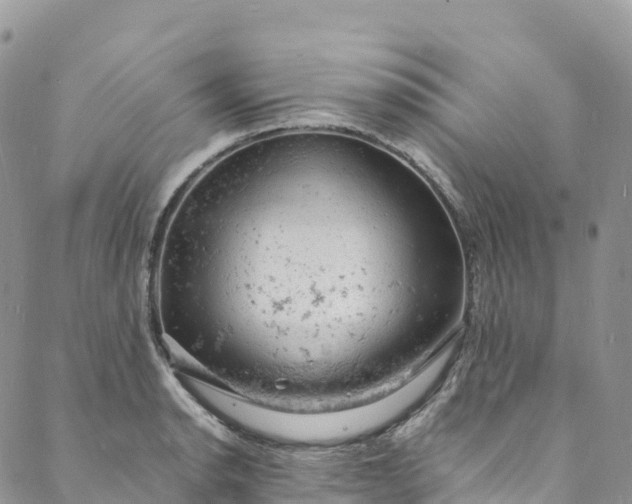 X0000088031134200705251110