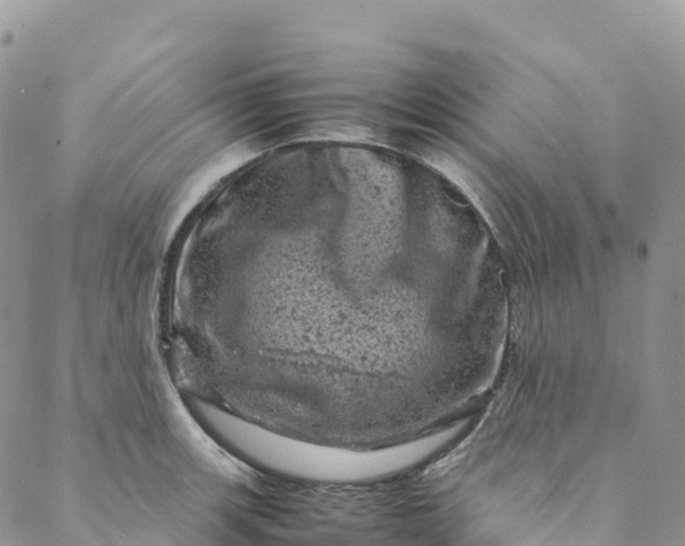 X0000088031139200705251110