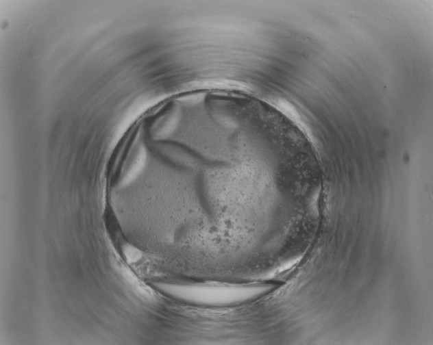 X0000088031140200705251110