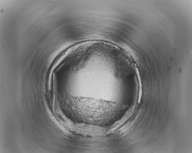 X0000088031142200705251110