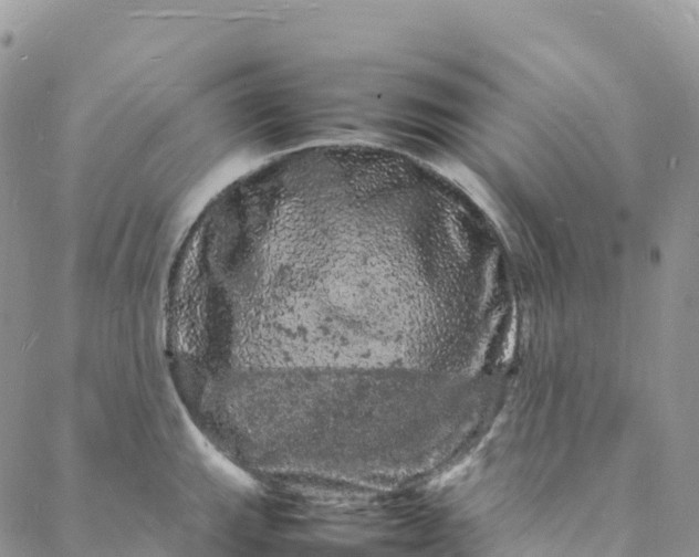 X0000088031143200705251110