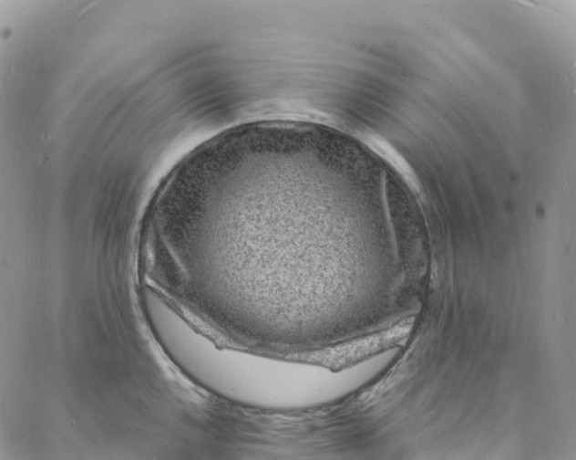 X0000088031144200705251110