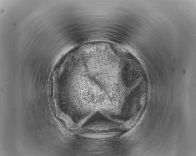 X0000088031145200705251110