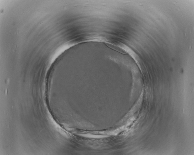 X0000088031147200705251110