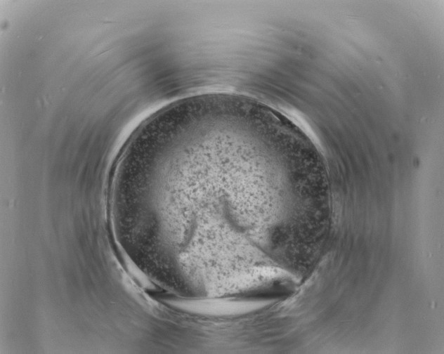 X0000088031148200705251110