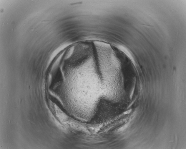 X0000088031149200705251110