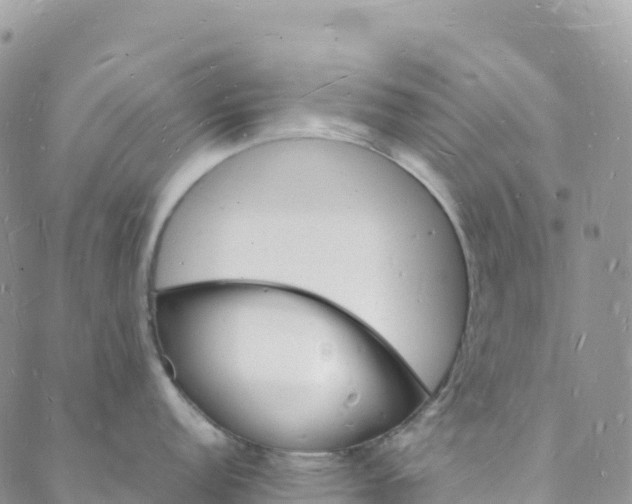 X0000088031152200705251110