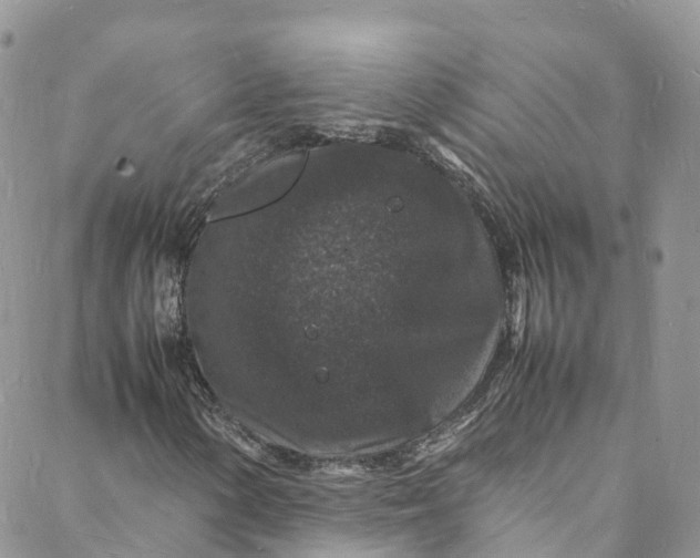 X0000088031154200705251109