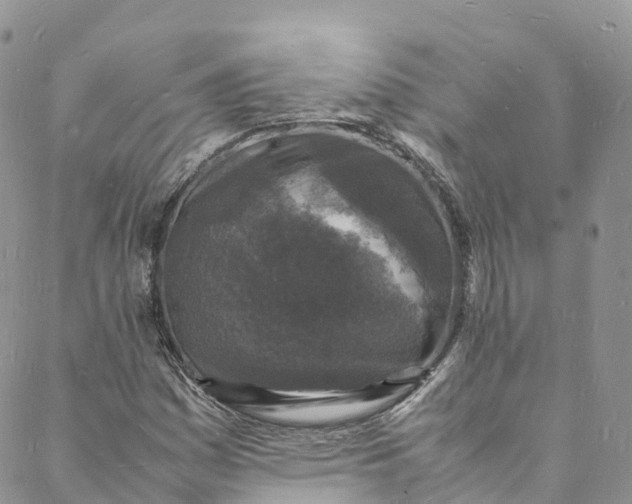 X0000088031161200705251109