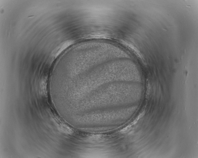 X0000088031162200705251109