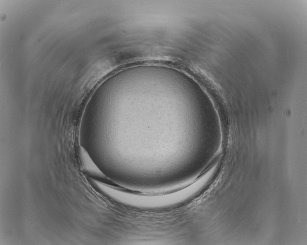 X0000088031169200705251109