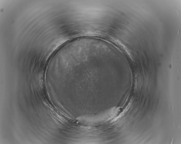 X0000088031170200705251109