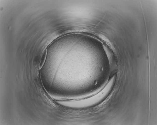 X0000088031177200705251109