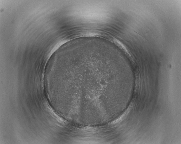 X0000088031178200705251109