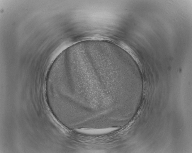 X0000088031187200705251109