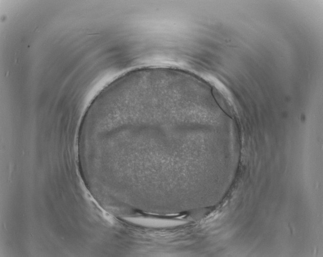 X0000088031191200705251109