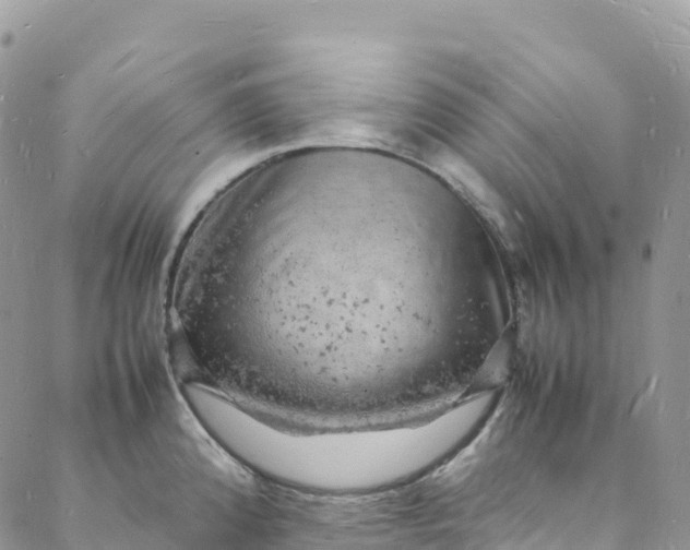 X0000088031192200705251109