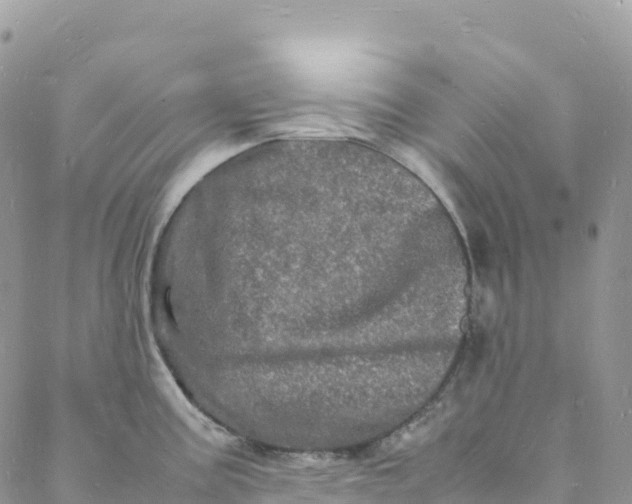 X0000088031195200705251109