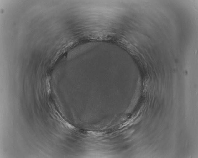 X0000088031202200705251108