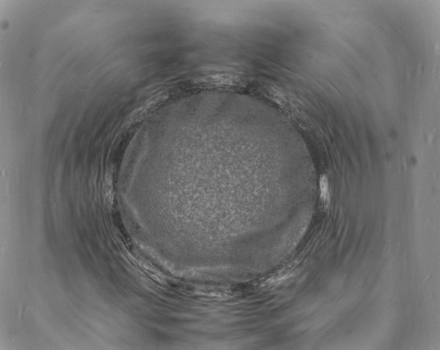 X0000088031203200705251108