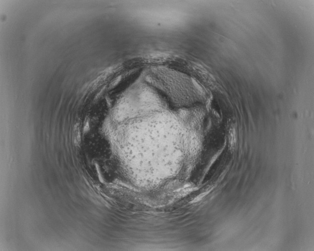 X0000088031204200705251108